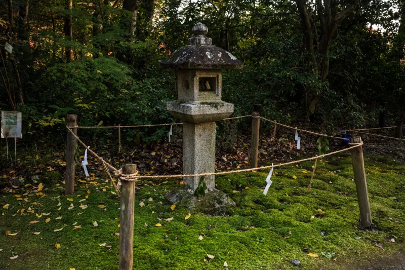 Sacred Ground, Open Canvas: The Hidden Shrines of Inasayama That Artists Can't Stop Photographing