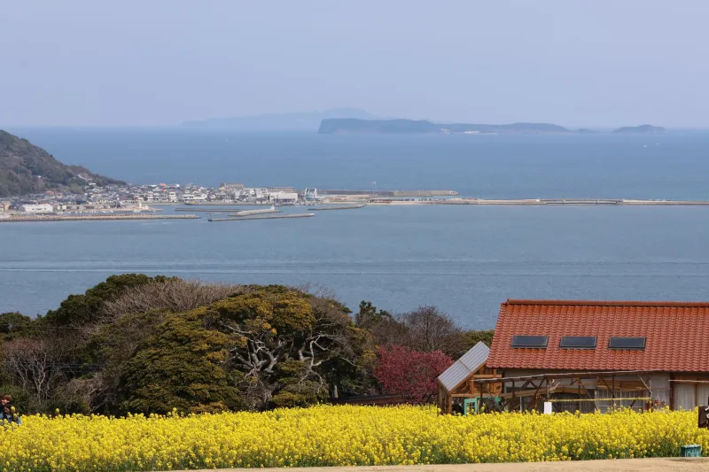 Seeing in a New Frequency: How Nagasaki's Artists Are Changing the Way Americans Understand Color